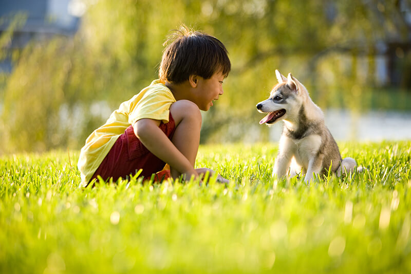 a boy and a puppy sitting on the lawn
